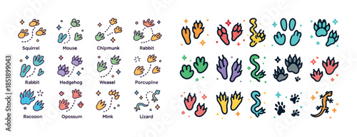 Illustrations of animal tracks with colorful icons and labels