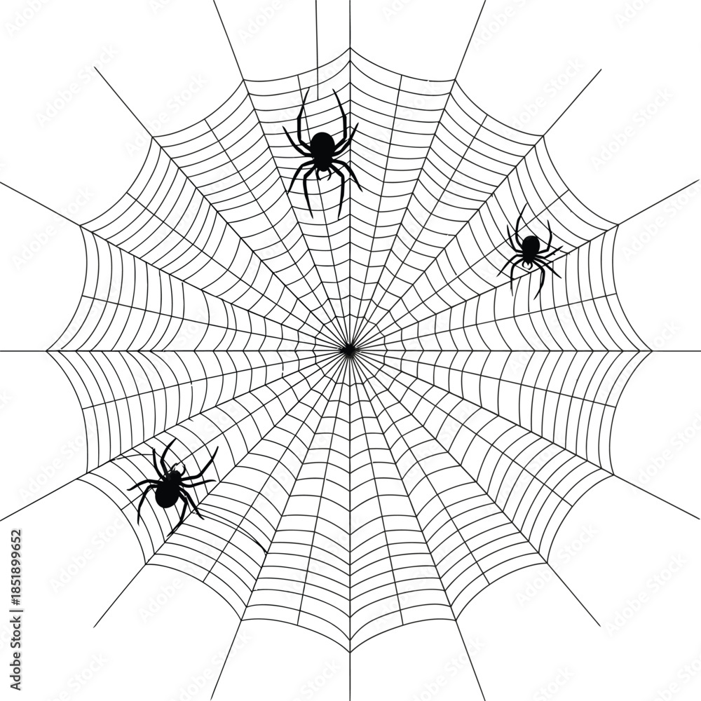 Fototapeta premium Spider Web with Spiders Illustration for Halloween Decor