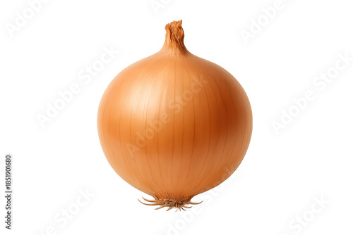 Wallpaper Mural Yellow onion, a common healthy vegetable with brown papery skin and edible bulb, essential cooking ingredient on transparent background Torontodigital.ca