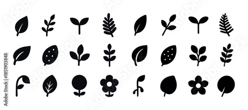 Collection of 25 black botanical icons featuring leaves and flow