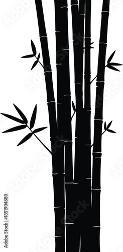 Silhouette bamboo stalks with leaves vector illustration