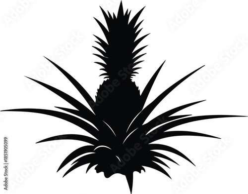 Silhouette of a pineapple plant with spiky leaves Vector Illustration