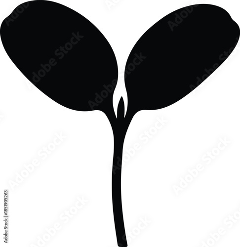 Silhouette of a small sprouting plant with two leaves Vector Illustration