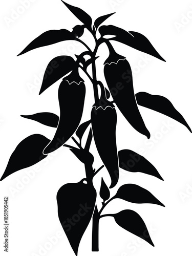 Silhouette of chili pepper plant with ripe red fruits and green leaves Vector Illustration