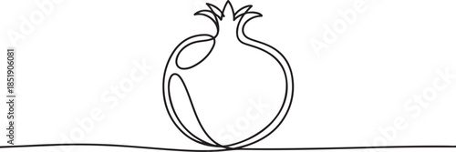 Continuous linear drawing of pomegranate. One line drawing garnet. Pomegranate in one line style. Vector illustration. one line Icon drawing