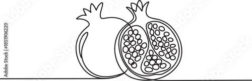 Continuous linear drawing of pomegranate. One line drawing garnet. Pomegranate in one line style. Vector illustration. one line Icon drawing