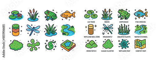 Wetland ecosystem icons: frogs, fish, plants, and stream element