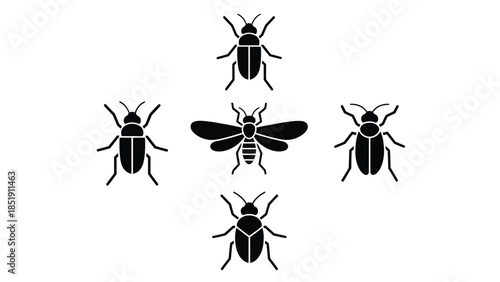 Black silhouettes of various insects on white background