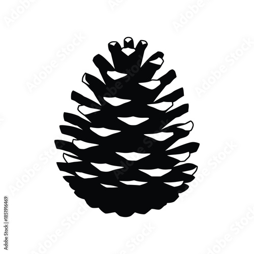 a simple monochrome depiction shows a single pine cone its scales clearly defined against a stark white background conveying natural elegance