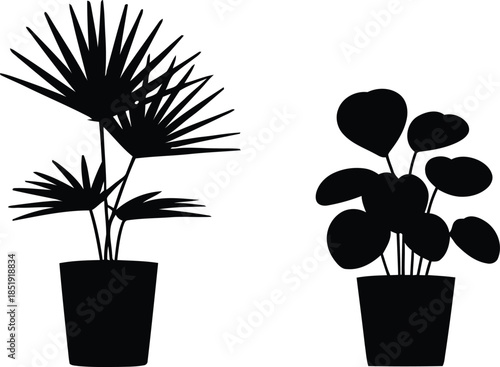 A minimalist black silhouette illustration featuring two potted houseplants against a white background