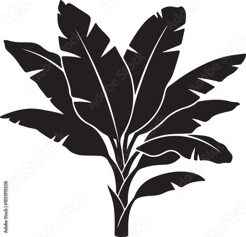 Black Silhouette of a Banana Tree with Large Leaves