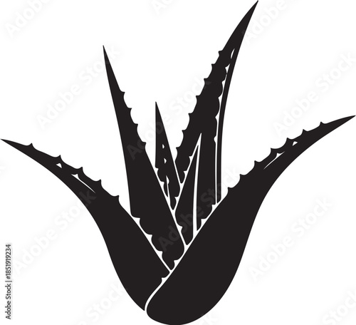 Black Silhouette of an Aloe Vera Plant succulent botanical