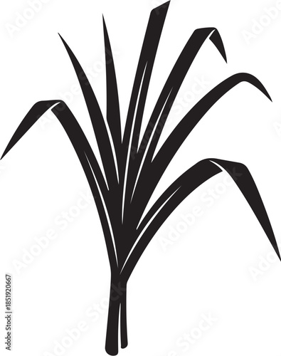 Black Silhouette of Sugarcane Plant Leaves black and white