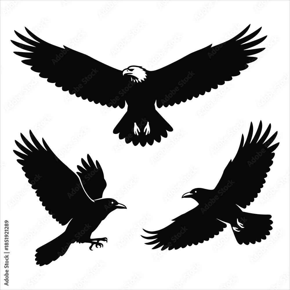 Obraz premium Majestic flying bird silhouettes featuring eagle and hawk in flight.