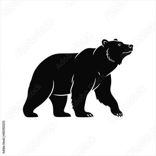 Large grizzly bear silhouette walking isolated on white background.