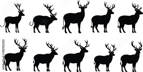 Silhouettes of deer and stags in various poses