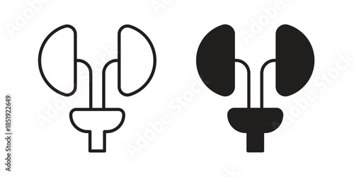 Urology icons for designers, web developers, displays and websites