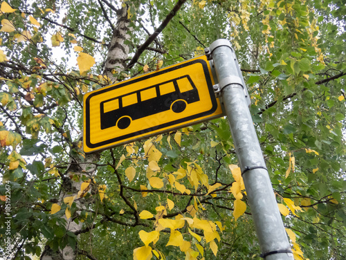 Yellow bus stop -sign and yellow autumn colored leaves on the background