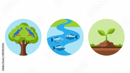 Set of icons representing nature tree with birds, river with fish, and seedling growing from soil, symbolizing life and environment
