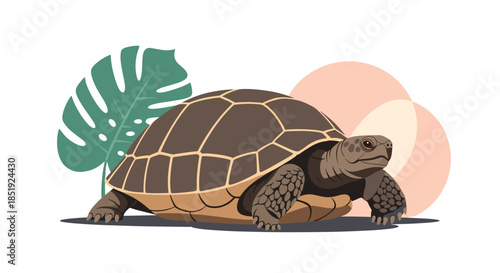 Detailed illustration of a majestic tortoise with a large, textured shell, depicted in a natural setting with abstract shapes.