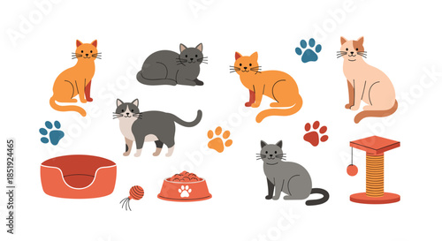 Comprehensive set of cat-related illustrations featuring various cat breeds, paw prints, food bowl, scratching post, and pet bed for feline care.