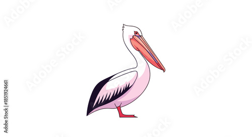 Elegant side profile illustration of a pelican, a large water bird known for its distinctive throat pouch and graceful presence.