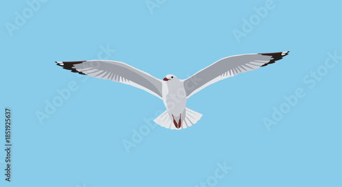 A graceful seagull soaring with outstretched wings against a clear blue sky, capturing the essence of freedom and coastal beauty.