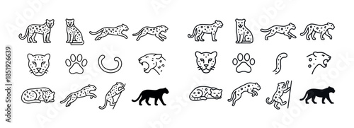 Cheetah icons set: various poses and movements in outline style