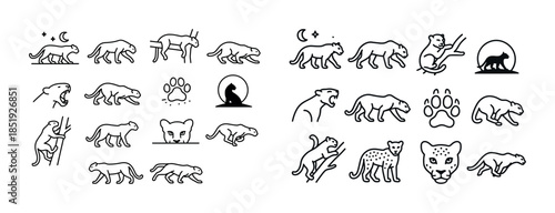Big cat outlines: prowling, roaring, climbing, playing, silhouet