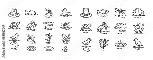 Line drawing collection of pond animals and plants