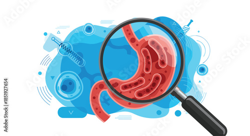 A magnifying glass highlighting bacteria within a human stomach, illustrating the concepts of gut health, digestion, and the study of gastrointestinal microbiology.