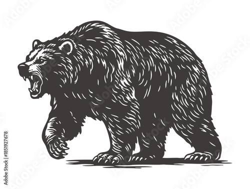 Large grizzly bear walking forward in a bold woodcut design.
