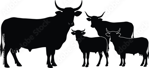 Silhouette of a cow and two calves standing together in a line