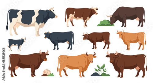 A diverse collection of various cows and bulls in different poses and colors, illustrating cattle farming and animal husbandry.