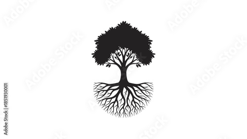 Tree Silhouette with Visible Roots System.