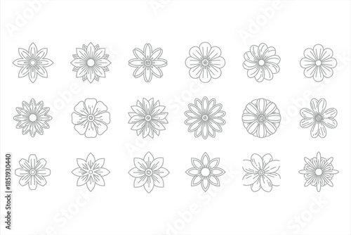 Collection of Decorative Flower Outlines