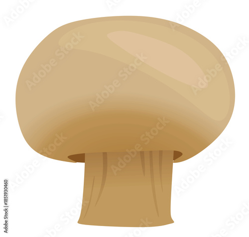 Mushroom champignon on white background. vector