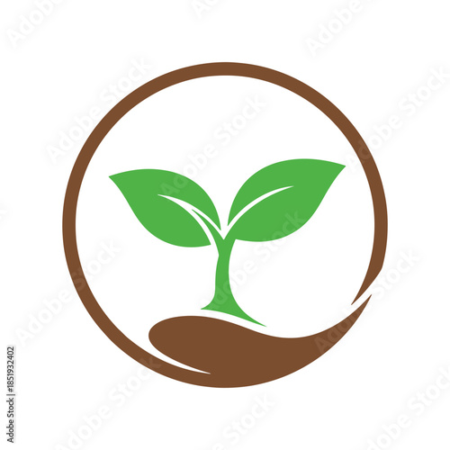 Green seedling growing inside a brown circle plant