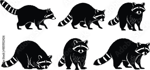 Silhouette vector set of raccoons in various poses, ideal for wildlife, nature, animal behavior, and educational design themes