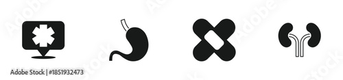 Set Medical symbol of the Emergency, Human stomach, Crossed bandage plaster and kidneys icon.