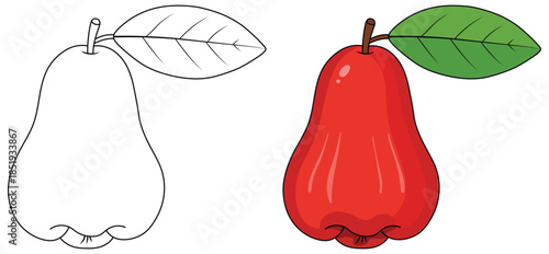 Rose apple illustration showing a bright red glossy fruit with a green leaf in a clean vector style ideal for food themed creative design projects at high quality