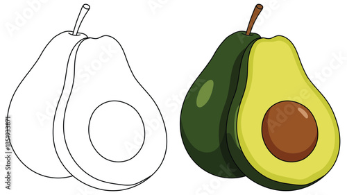 Avocado illustration featuring a whole fruit and a sliced half with seed shown in a clean modern vector style designed for use in fresh organic food themed creative projects