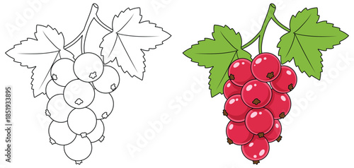  Redcurrant illustrated as a vibrant cluster of glossy berries with bright green leaves in a clean cartoon style designed for food themed creative projects and digital artwork