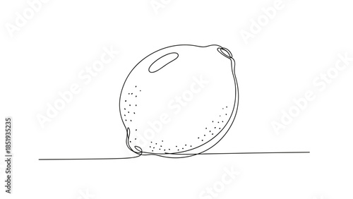Simple line drawing of lemon on a flat surface  