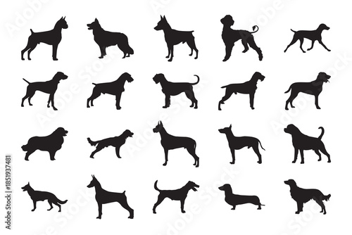 Dog silhouette pattern. Seamless pattern of small dog silhouettes in varied poses, perfect for pet backgrounds, textiles, packaging and web. Vector tile.
