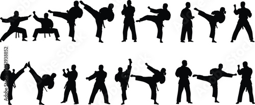 Martial arts fighter silhouette sequence, karate taekwondo kicking punching poses, combat training action collection, isolated black athletes illustration set