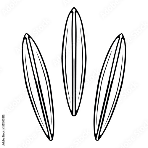 Cluster-beans-illustration-vector-design 