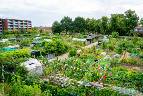 View of community gardens in the city
