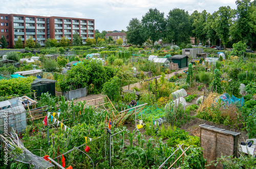 View of community gardens in the city

