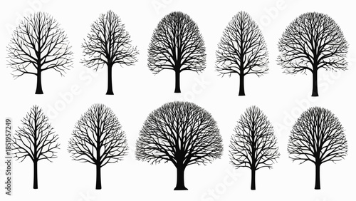 set of trees silhouettes